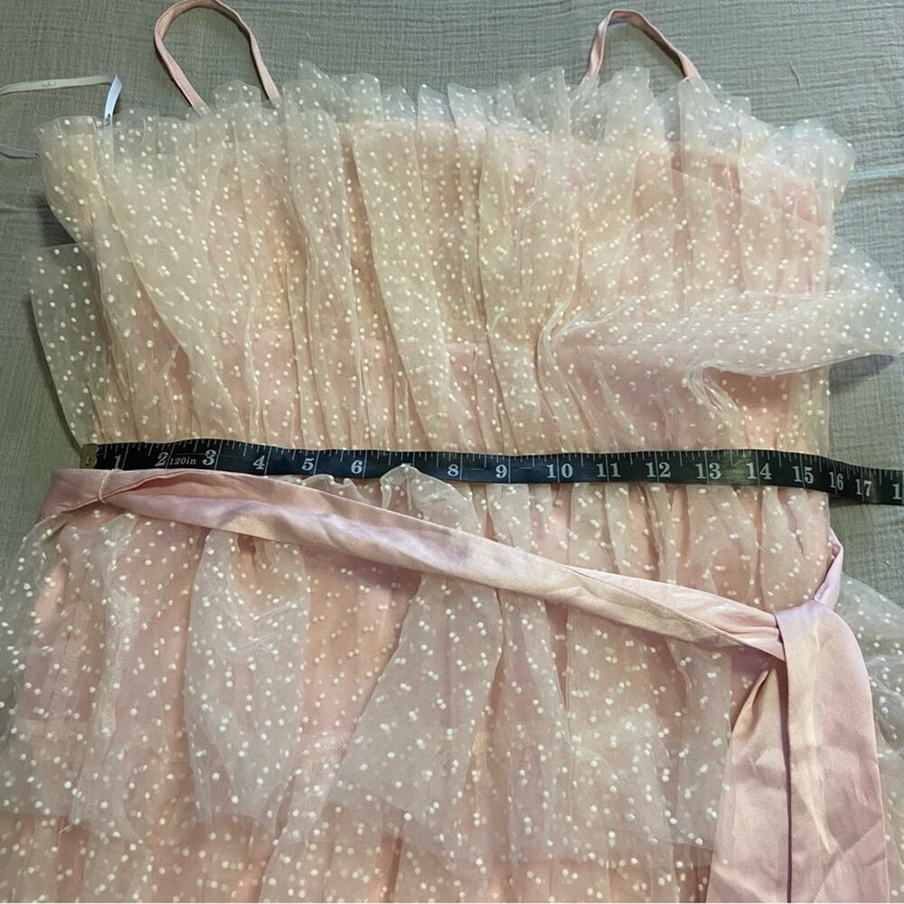 NWOT Lulus Wishing for Whimsy Blush Pink Swiss Dot Ruffle Tiered Midi Dr… - Picture 9 of 11